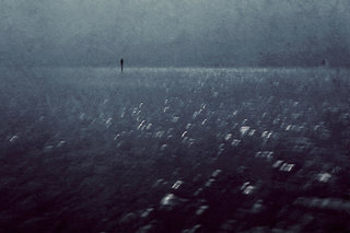 UNTITLED VCE SERIES